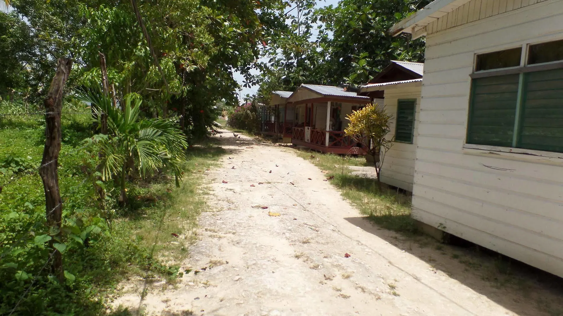 Hotel Beach Road Cottages At Jah Bs